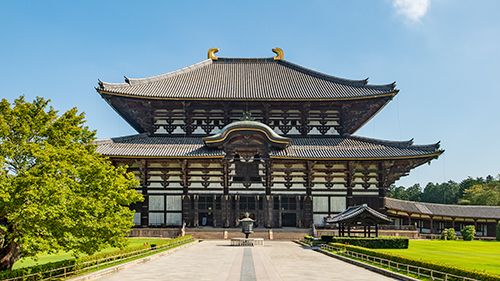 Todaiji Temple Great Buddha (60 minutes): Admission fee included.