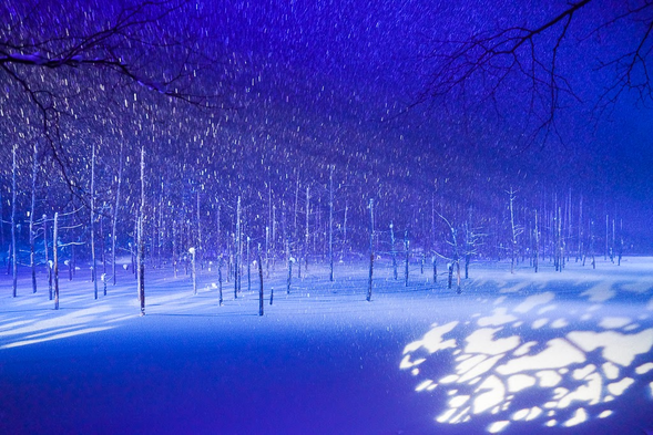 Biei Blue Pond (30 mins)
*Enjoy the fantastic illuminated scenery