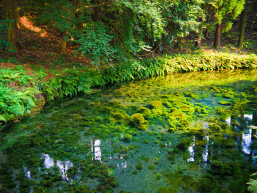 10:20 Shirakawa Suigen (approx. 40 minutes)