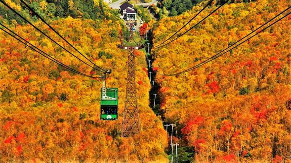 ☆Daisetsuzan Sounkyo Kurodake Ropeway (1 hour 30 minutes stay)