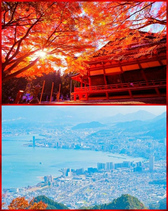 Mount Hiei Enryakuji Temple
(A power spot in the sky dyed in autumn leaves! To Mount Hiei, a World Heritage Site! Free worship centered on the East Pagoda/Approximately 90 minutes)
*This is a guide to the East Pagoda area.