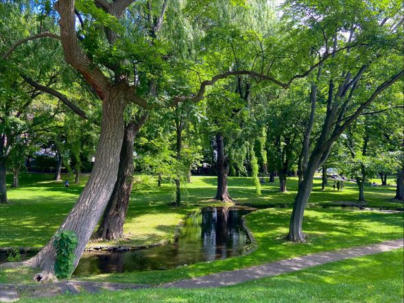 Hokkaido University Central Lawn
