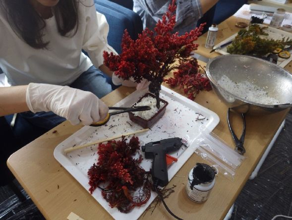 Bonsai Workshop
