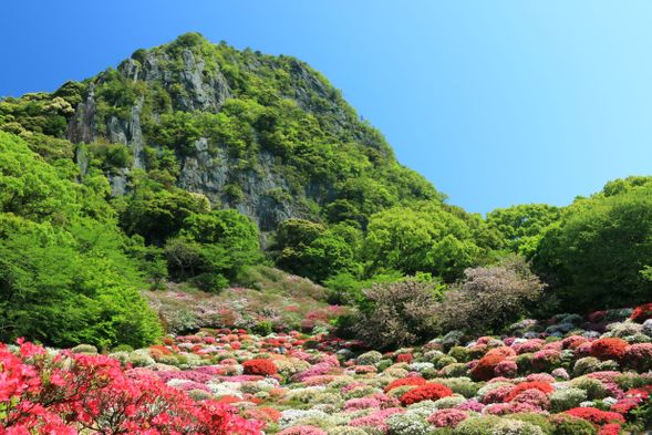 參觀禦船山樂園,感受武雄的自然風景(60分鐘)