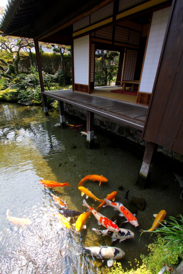 Shimeiso Spring Garden