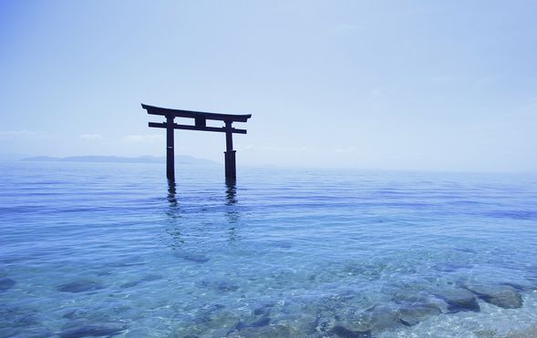 Shirahige Shrine (View from the bus)
(Enjoy views of the famous torii gate standing in Lake Biwa, a popular power spot, from the bus window)