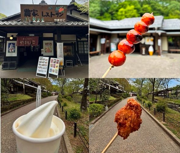 Gifu Seiryu Satoyama Park
(A tourist spot making its first appearance on our tours! Enjoy three street food treats: mitarashi dango, original fried chicken, and mini soft serve ice cream! Visit flower gardens that bloom in each season and the old two-story wooden elementary school building with a Showa-era retro feel in the nature-rich park! Free time for lunch / approx. 100 minutes)