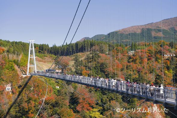 Kokonoe "Yume" Suspension Bridge
