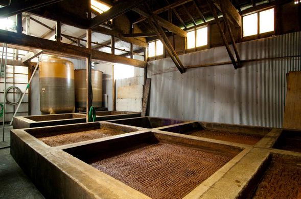 Matcha Experience & Soy Sauce Distillery Tour
