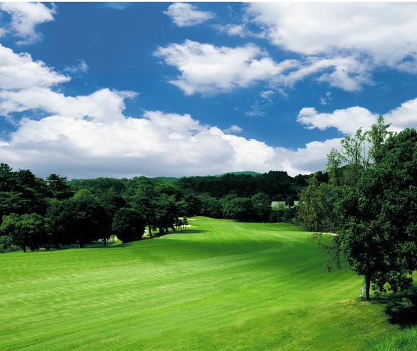 Arrival at golf course