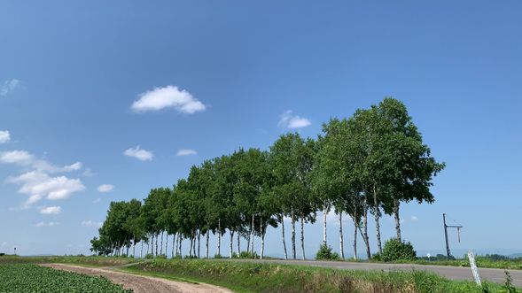 Patchwork Road (View from bus)