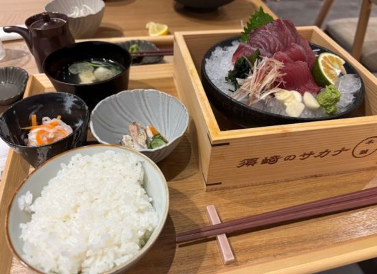 Susaki no Sakana Honpo <Lunch> (approx. 60 minutes)
★Enjoy the seasonal delicacy, "Mejika no Shinko Teishoku" (young skipjack tuna set meal), available for a limited time!