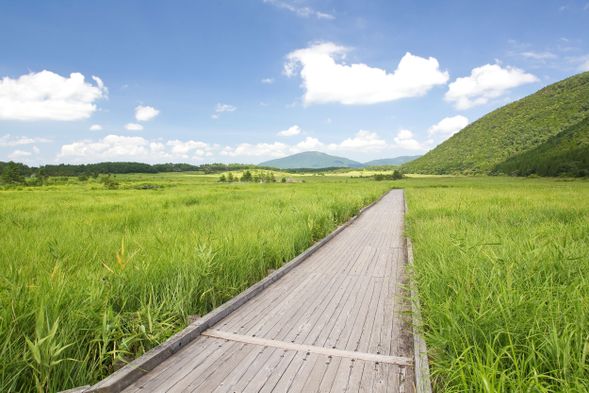 1:50 PM arrival at Tadehara Wetlands (70 minutes of sightseeing)