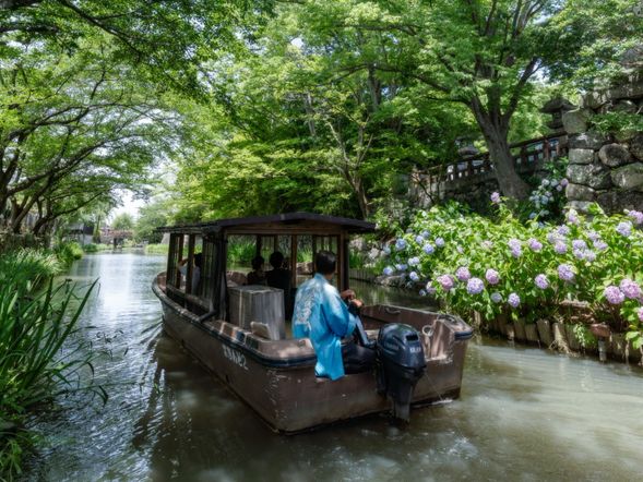 Hachimanbori Meguri and stroll around Omihachiman(Admission fee is included/60min)