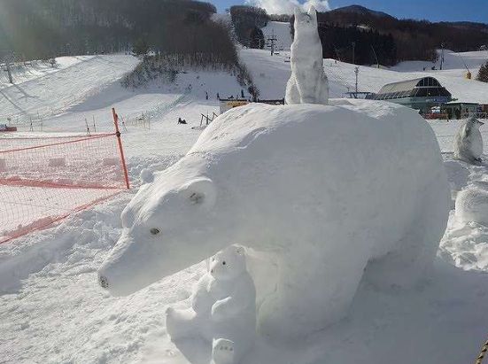 Enjoy Snow Fun & Lunch at Your Leisure(2H15 minutes)
