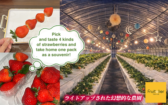 Fruitelier (Night strawberry picking & strawberry tasting / approx. 60 minutes)