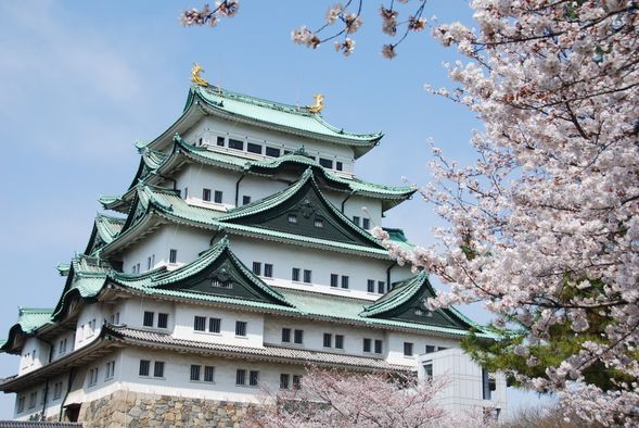Nagoya Castle Cherry Blossom Festival
(90min / Admission fee included)