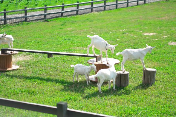 Domaine Raison (30 mins)