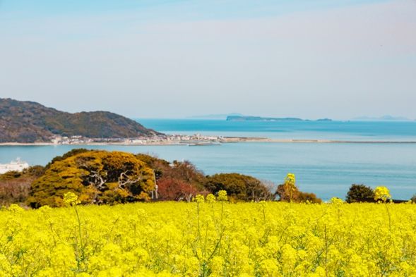 11:00 Strolling around Nokonoshima Island Park