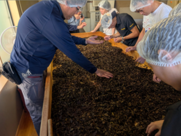 Bancha tea making experience, Tea
time, Strolling
through the tea plantation.