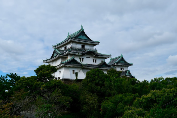 Wakayama Castle(90min)