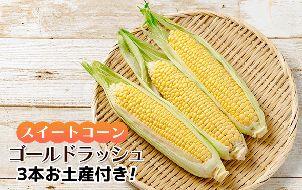 Fruit Village Tabaruzaka (Gold Rush Sweet Corn Picking Experience / 30 minutes)