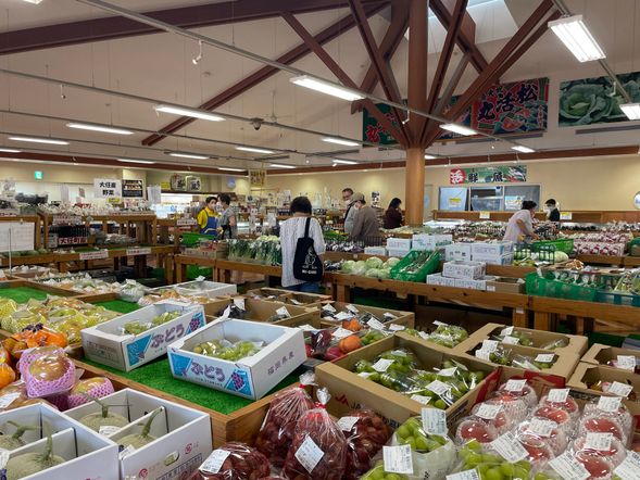 13:00 Michi no Eki Oto Sakura Kaido