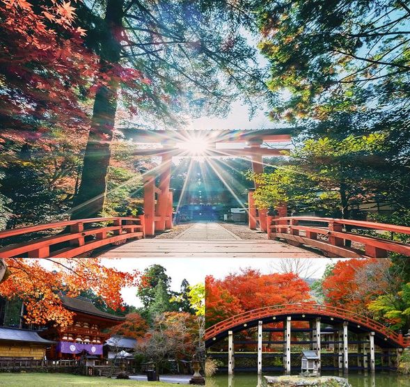 Nyutsuhime Shrine
(Free worship at a World Heritage site famous for matchmaking / approx. 40 minutes)