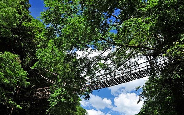Iya Kazurabashi Bridge
(One of Japan's three most unusual bridges! Enjoy the beautiful gorge! / Approx. 60 minutes)