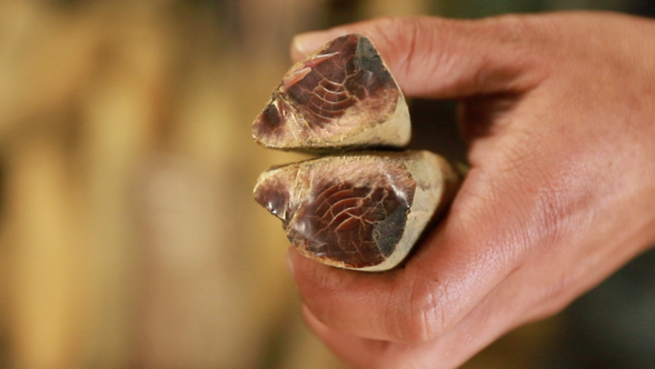 A ruby-colored honkare fermented dried bonito