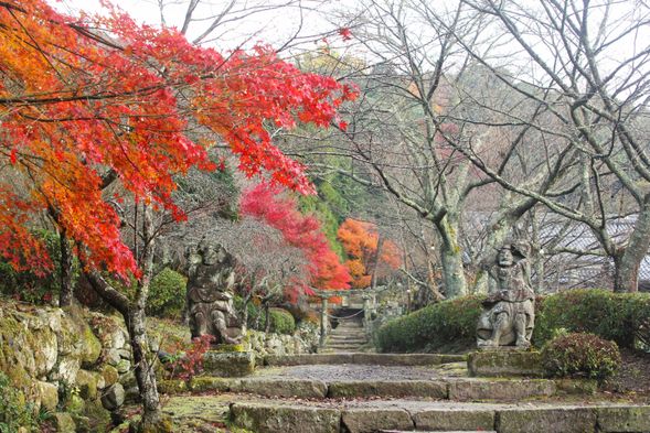 【Kunisaki's Esoteric Buddhist Trek】Iwato Temple