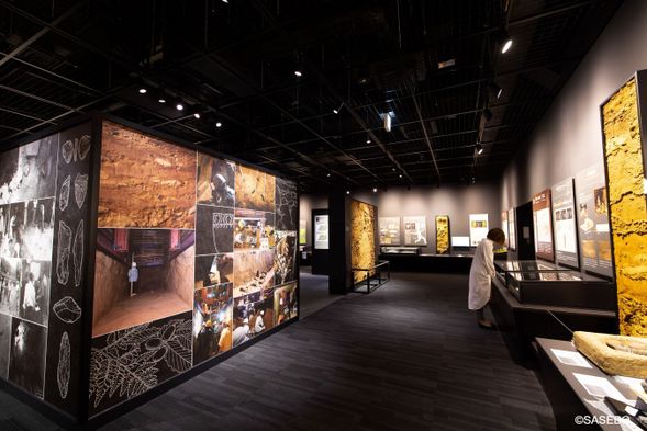 Fukui Cave Museum(45min)