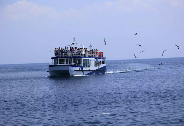 Take the Ine Sightseeing Cruise and experience the fun of feeding seagulls and eagles! (The ride time is about 25 minutes)