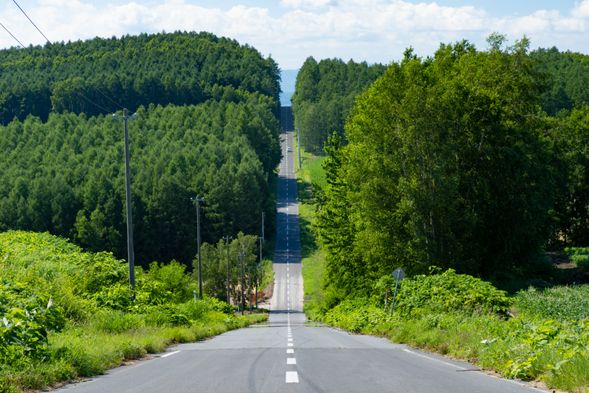 Roller Coaster Road(View from bus window)