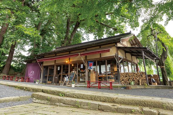 Icho cafe at Kumanotaisha-Shrine