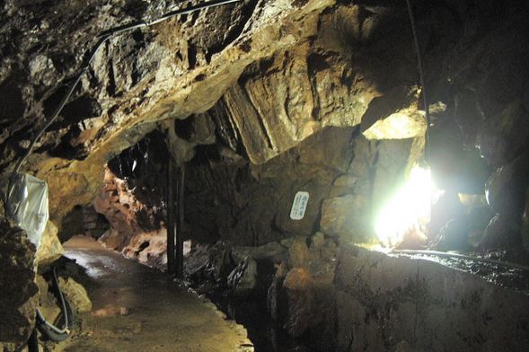 Sekigahara Cave
(Average temperature is 15°C even in summer! Individual tour of the cool and fantastic cave/about 30 minutes)