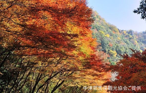 1:10 PM - 2:10 PM: Arrive at Kyusui Valley (Katsura Chaya) (approx. 60 min)