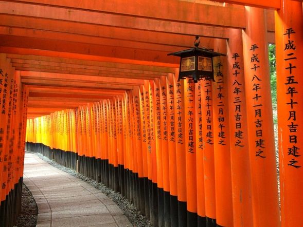 Fushimi Inari Shrine (70 minutes)