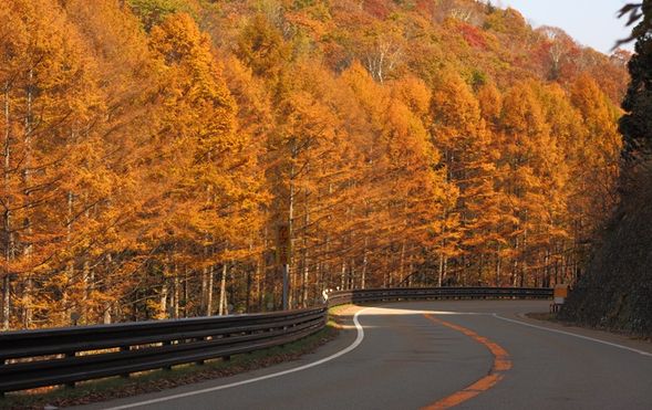 Drive Along the Golden Seseragi Highway
(Bento boxed lunch will be provided on the bus.)