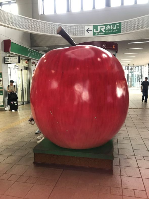 A guide holding an "HIS" sign will be waiting for you in front of the apple monument inside Hirosaki Station.