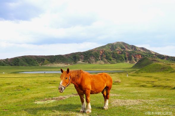 Kusa Senrigahama Grassland (Free Time 90 mins)