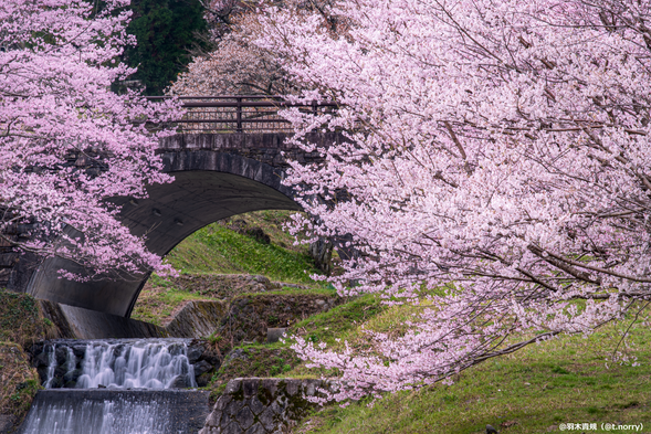 Photo stop at Kamagatani Valley(※If you have time)