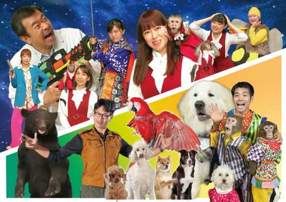 12:20 – 14:00 Aso Cuddly Dominion