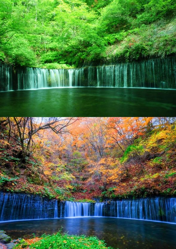 Shiraito Falls
(Feel the negative ions at this famous Karuizawa landmark / Approx. 30 min)
