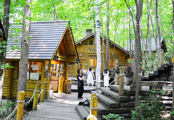 Ningle Terrace (Free time at New Furano Prince Hotel )