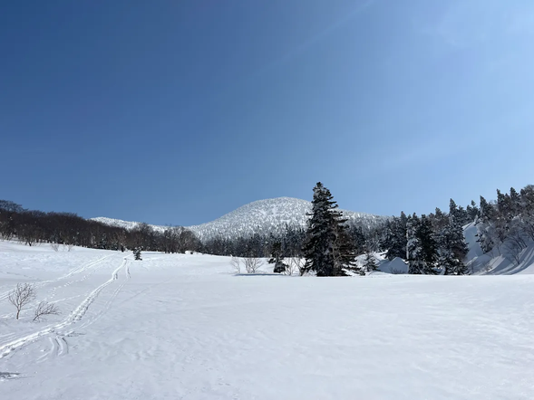 Travel time to the Hakkoda Heavy Snow Area: approximately 10 minutes