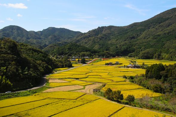 【Kunisaki's 4Sacred Sites】 TrekTashibuno-sho