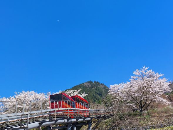 15:00 Hikosan Slope Car & Hikosan Jingu (90min)