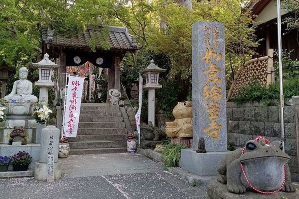Arrive at Nyoirinji Temple.The tour takes 45 minutes