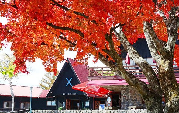 Seisen-ryo
(Take a stroll through this highland resort, surrounded by Alpine-like scenery and abundant nature)